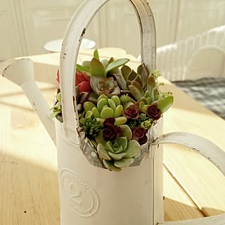 多肉植物♡/じょうろのインテリア実例 - 2014-03-08 09:21:22