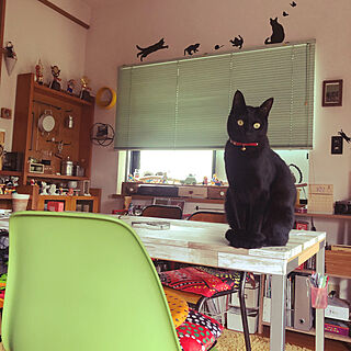 机の端っこに座る猫/ねこのいる風景/食卓に乗る猫/机のインテリア実例 - 2021-03-04 13:51:22