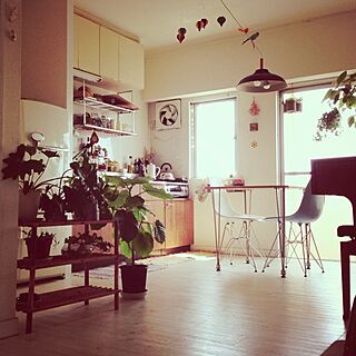 部屋全体/My Best RoomClip/植物/手作り/カッティングシート...などのインテリア実例 - 2013-08-15 23:19:24