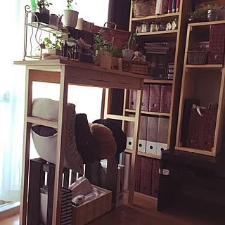 DIY/観葉植物/リビングのインテリア実例 - 2015-08-23 15:41:26