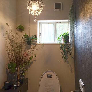 バス/トイレ/お花/お花のある暮らし/トイレ緑化計画/新入りのインテリア実例 - 2016-05-26 14:45:09