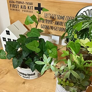 机/ウォールステッカー　セリア/マナベインテリアハーツ/ベンチ DIY/観葉植物のある暮らし...などのインテリア実例 - 2017-04-15 19:56:13