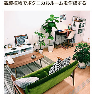 部屋全体/RoomClip mag/観葉植物/一人暮らし/1LDK...などのインテリア実例 - 2018-02-04 21:41:56