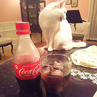 キッチン/ねこばかりですいません/コカ・コーラ/ぽて猫部/NO CAT,NO LIFE❤️...などのインテリア実例 - 2016-10-05 07:30:00
