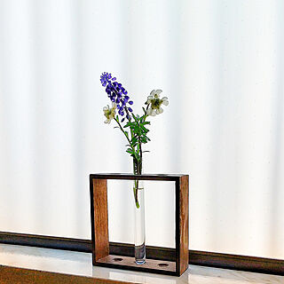 キッチン/いいね♪いつもありがとうございます❤️/花のある暮らし/庭の花を飾る/試験管立て...などのインテリア実例 - 2023-04-03 11:23:49