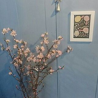 お正月/桜/あけましておめでとうございます/玄関/入り口/花を愛でる...などのインテリア実例 - 2018-01-03 07:29:06
