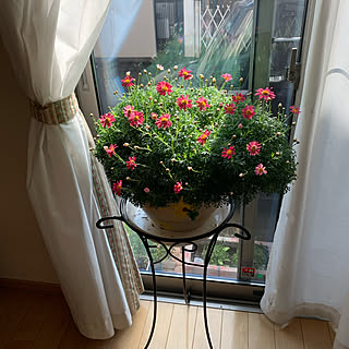 リビング 木質化マーガレットのインテリア実例 Roomclip ルームクリップ