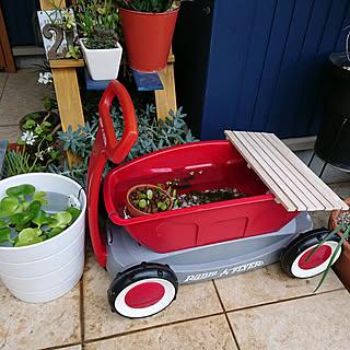 玄関/入り口/ビオトープ/RADIO FLYER/IKEA/プランターカバー...などのインテリア実例 - 2022-08-02 20:52:31