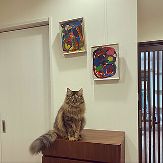 絵画を飾る/猫と暮らす/玄関/入り口/古いマンションのリノベーションのインテリア実例 - 2023-01-20 09:49:44
