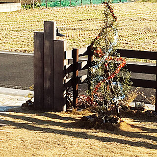 玄関/入り口/クリスマスツリー/枯れた芝生/ウッド調フェンス/クリスマスディスプレイ...などのインテリア実例 - 2018-12-25 15:24:29