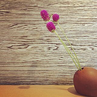 壁/天井/ナチュラル/男前/IKEA/観葉植物...などのインテリア実例 - 2017-06-04 07:36:41