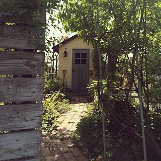 壁/天井/DIY/植物/ガーデン/DIY小屋...などのインテリア実例 - 2015-04-18 09:35:54