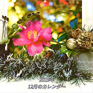 最後の1枚/12月の花のカレンダー/今月もよろしくお願いします♡/クリスマス風⁉︎/みなさんの優しさに感謝❤️...などのインテリア実例 - 2019-12-02 07:14:54