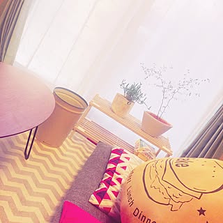 多肉植物 セラミスのおしゃれなアレンジ 飾り方のインテリア実例 Roomclip ルームクリップ