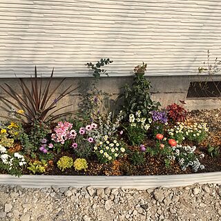 手造り花壇/花のある暮らしのインテリア実例 - 2017-05-17 17:22:20