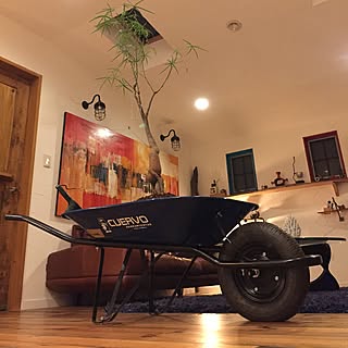 植物/一輪車/置物のインテリア実例 - 2015-09-12 00:25:51