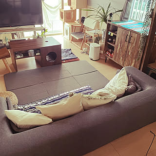 DIY/賃貸インテリア/アパート暮らし/猫との暮らし/IKEA...などのインテリア実例 - 2021-08-25 17:41:23