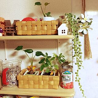 キッチン/DIY/フェイクグリーン/いなさうるす屋さん/観葉植物...などのインテリア実例 - 2015-03-16 22:46:02