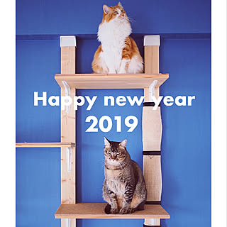 壁/天井/新年のご挨拶/ねこと暮らす/壁紙 ブルー/猫インテリア...などのインテリア実例 - 2019-01-03 00:27:47