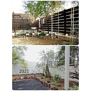 玄関/入り口/手作りの庭/パーゴラ/クラピアK7/ガーデンフェンス DIYのインテリア実例 - 2021-05-07 12:27:23