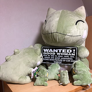 ぬいぐるみ ポケットモンスターのおしゃれなアレンジ 飾り方のインテリア実例 Roomclip ルームクリップ ぬいぐるみ ポケットモンスターのおしゃれなアレンジ 飾り方のインテリア実例 Roomclip ルームクリップ