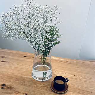 かすみ草/コーヒータイム/好きな時間/観葉植物/ナチュラル...などのインテリア実例 - 2022-05-28 08:05:07