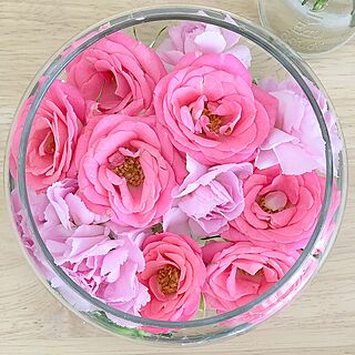 机/flower/花のある暮らし/Pink/花...などのインテリア実例 - 2017-06-13 12:46:25