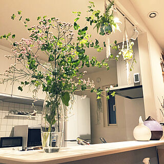 花瓶 スターチスのおしゃれなアレンジ 飾り方のインテリア実例 Roomclip ルームクリップ