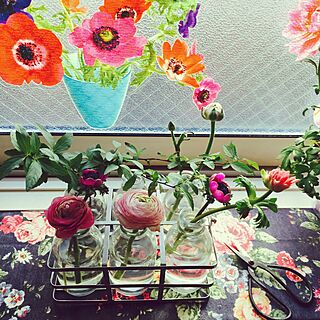 キッチン/窓辺/植物/花/花瓶...などのインテリア実例 - 2015-02-20 08:37:44