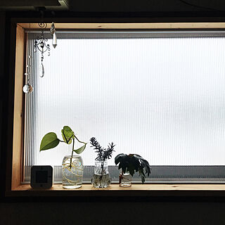 内窓DIY/観葉植物/一人暮らし/台所/2DK...などのインテリア実例 - 2021-12-26 10:34:42