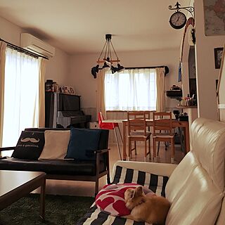 部屋全体/DIY/リビング階段/わんこと暮らす/IKEA...などのインテリア実例 - 2017-05-02 12:43:12