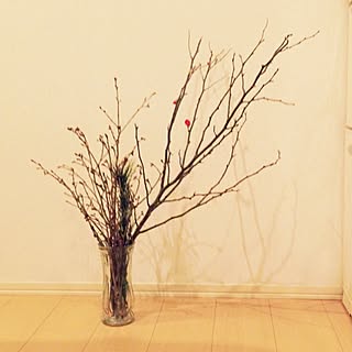 枝もののインテリア実例 - 2014-01-05 19:02:06