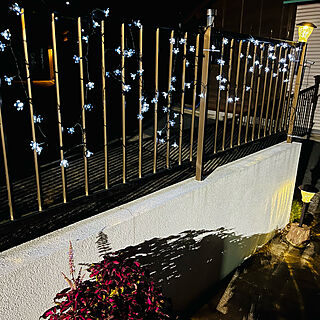 LEDソーラーガーデンライト/見て頂きありがとうございます⑅︎◡̈︎*/観葉植物のある暮らし/玄関/入り口のインテリア実例 - 2021-11-03 19:19:25