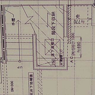 部屋全体/パントリー収納/階段下スペース/秘密基地/間取り1F...などのインテリア実例 - 2020-04-20 09:00:17