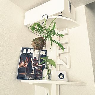 棚/DIY/観葉植物/IKEA/ポトス...などのインテリア実例 - 2016-09-09 15:06:27