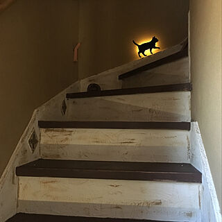 壁/天井/猫のランプ/階段周り リメイク/階段周り DIY/階段 リメイク...などのインテリア実例 - 2019-02-14 10:27:55