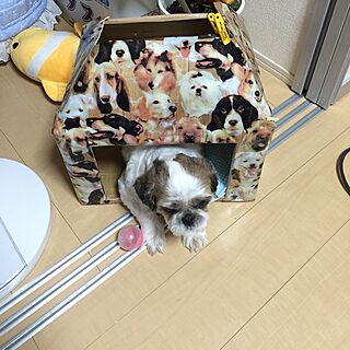 emiさんの実例写真