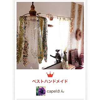 capelさんの実例写真