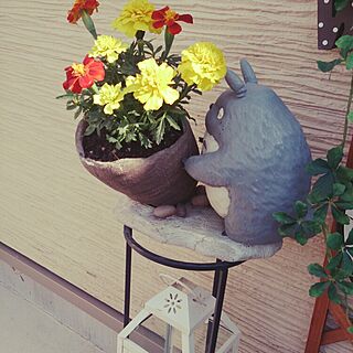 玄関/入り口/トトロ/ランタン/ガーデン雑貨のインテリア実例 - 2015-05-13 15:35:50