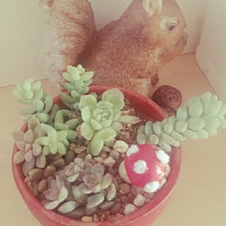 玄関/入り口/ミニチュア/ハンドメイド/多肉植物寄せ植え/ガーデンピック♡自作...などのインテリア実例 - 2016-11-09 09:35:22