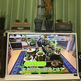 玄関/入り口/テレビ出演/一人暮らし/賃貸でも諦めない！/ジミーズ...などのインテリア実例 - 2016-11-04 20:49:02