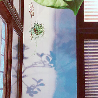 漆喰壁/ステンドグラス/吊るしたグリーン/ひかりのベーション/日本家屋...などのインテリア実例 - 2021-07-05 20:01:22