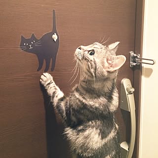 mikomaruさんの実例写真