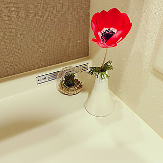 アネモネ/庭の花を飾る/お花のある暮らし/バス/トイレのインテリア実例 - 2022-04-20 16:56:37