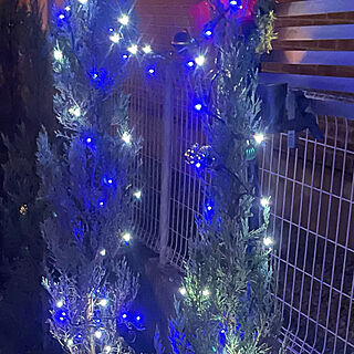 クリスマス/クリスマスツリー/christmas tree/holiday tree/玄関/入り口のインテリア実例 - 2022-12-20 18:59:04