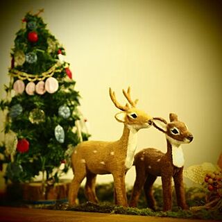 キッチン/クリスマスツリー/動物/フェイクグリーンのインテリア実例 - 2013-11-11 13:58:04