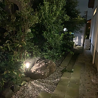 庭/ソーラーライト/手作りの庭/和風庭園/庭園灯...などのインテリア実例 - 2021-07-19 14:49:30