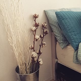 ベッド周り/植物のある部屋のインテリア実例 - 2015-12-06 16:19:33
