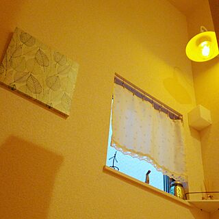 壁/天井/階段の壁/階段の窓/階段の照明のインテリア実例 - 2017-01-28 02:07:53