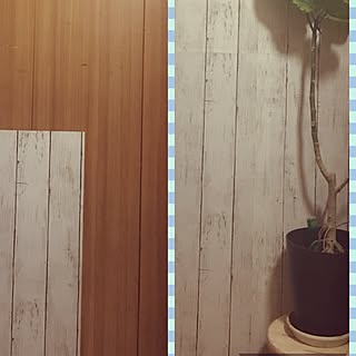 壁/天井/100均/ダイソー/わんこと暮らす/RELAX...などのインテリア実例 - 2017-06-01 01:56:19